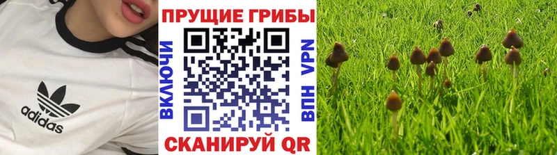 Псилоцибиновые грибы MAGIC MUSHROOMS  Дзержинский 